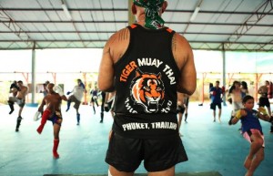 tiger-muay-thai